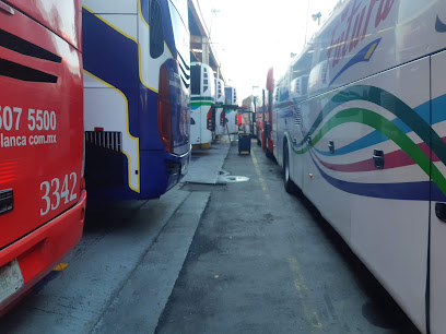 Single Location The WordPress Logo