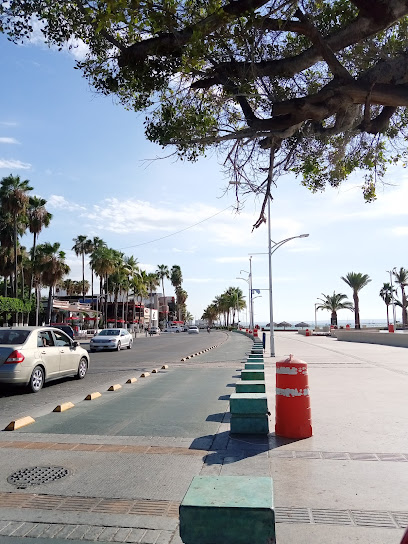 Single Location AF1QipMjXNS3atH2rZhhDtnlg1LntV3kPjaQTpR-CFFIw408-h544-k-no.jpeg