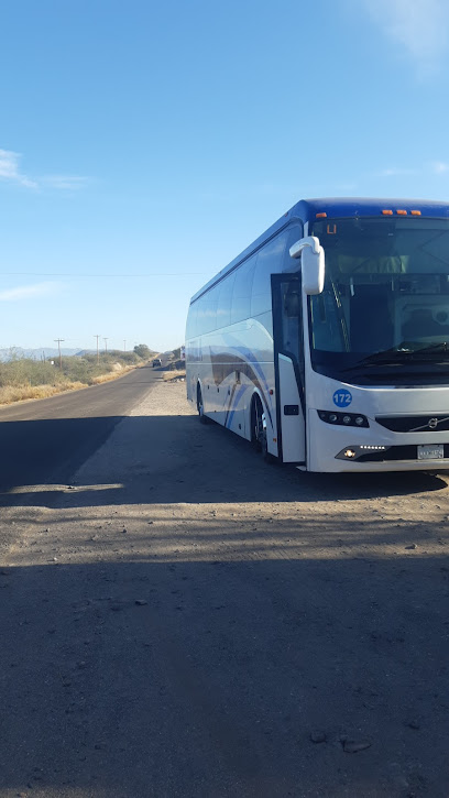 Single Location AF1QipMvOTGj8Sk27Bnb8d1czBxM32n_p7WJgmDKHjktw408-h725-k-no.jpeg