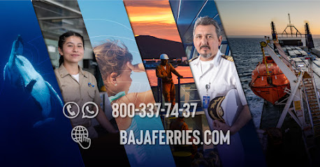 Single Location AF1QipOVr_CbiIv8qPYu1epzoxm1vfKHhui0toez3WVaw458-h240-k-no.jpeg