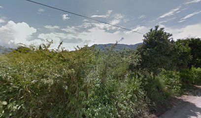 thumbnailpanoidECiftLqkxBHBaLf8vCRoTwcb_clientsearch.gws-prod.gpsw408h240yaw197.79141pitch0thumbfov100.jpeg