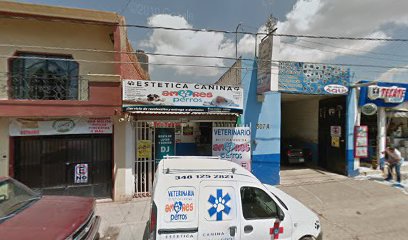 Single Location thumbnailpanoidIVFEOOnr8-Ll0b_UODoVzgcb_clientsearch.gws-prod.gpsw408h240yaw15.974113pitch0thumbfov100.jpeg
