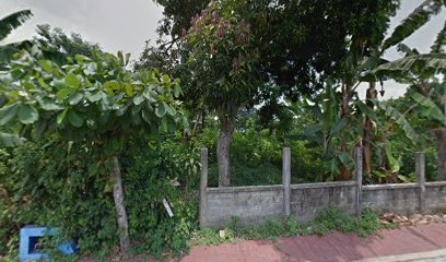 thumbnailpanoidSEr1JF7SbyDy-FPkebdTkgcb_clientsearch.gws-prod.gpsw408h240yaw119.810196pitch0thumbfov100.jpeg
