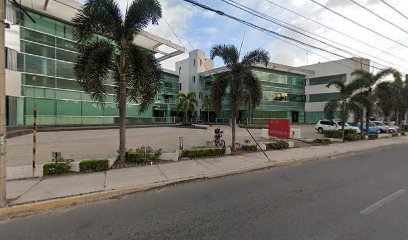 Single Location thumbnailpanoidjvXg5NqKdLZgIWMalfb9Ngcb_clientsearch.gws-prod.gpsw408h240yaw157.47623pitch0thumbfov100.jpeg