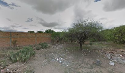 thumbnailpanoidwPw46XmbAzsHD1si0cMNpAcb_clientsearch.gws-prod.gpsw408h240yaw83.3792pitch0thumbfov100.jpeg