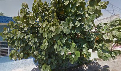 thumbnailpanoidxAx-p4q5aCncTTbb9XEY3Qcb_clientsearch.gws-prod.gpsw408h240yaw40.744423pitch0thumbfov100.jpeg