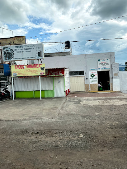 Single Location AF1QipP_4Hg4z0Yz0jKlSWKLPWTUmnEr-2vlOpqoAbgzw408-h544-k-no.jpeg