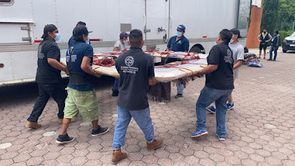 Single Category AF1QipPhvZdyISQz6eX2PBiDkol3OUkMbjprkh2wUZRTw426-h240-k-no.jpeg