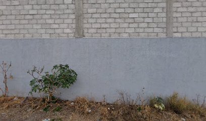 thumbnailpanoidSllAz1TPSN7JXGiZu-IHzQcb_clientsearch.gws-prod.gpsw408h240yaw167.31064pitch0thumbfov100.jpeg