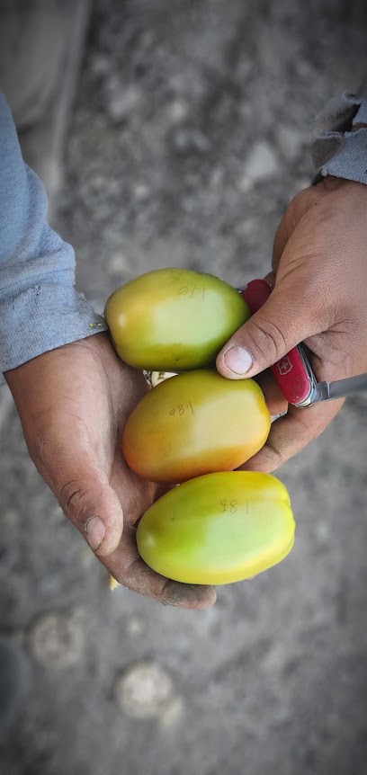 Single Location AF1QipMpga70YMPIU-49gxP43kCRukGy1Oy_1X7T7_fPw408-h862-k-no.jpeg