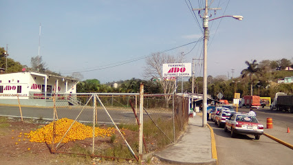 AF1QipNn4UpyXIKfkU23nmm6TFUVY176AtiM5srMTwQw426-h240-k-no.jpeg