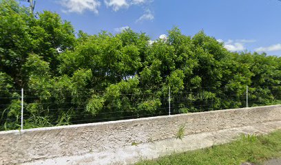 Single Location thumbnailpanoidKxs8T3FtVQ9GwzxAXYi9Lgcb_clientsearch.gws-prod.gpsw408h240yaw288.07547pitch0thumbfov100-1.jpeg