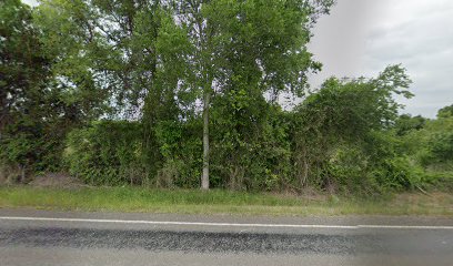 thumbnailpanoidOjbY9C1t-zrirZIm-kQOgQcb_clientsearch.gws-prod.gpsw408h240yaw123.43886pitch0thumbfov100.jpeg
