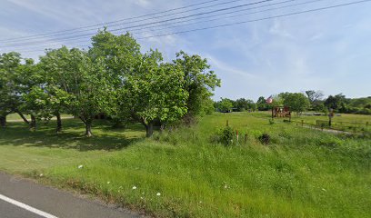 Single Location thumbnailpanoidjsDktS9l4h4o50wFohH4twcb_clientsearch.gws-prod.gpsw408h240yaw2.7057297pitch0thumbfov100.jpeg